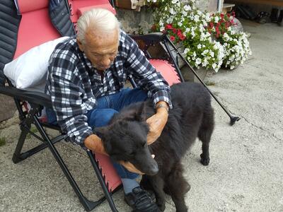 pet therapy improvvisata
