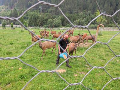 Il custode di cervi