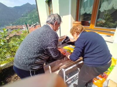 Costruzione dell'orto