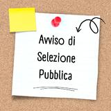 Pubblica selezione profilo Animatore
