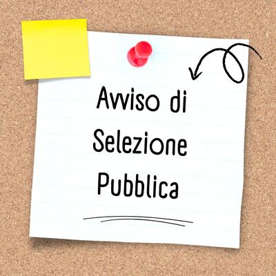 Pubblica selezione profilo Animatore